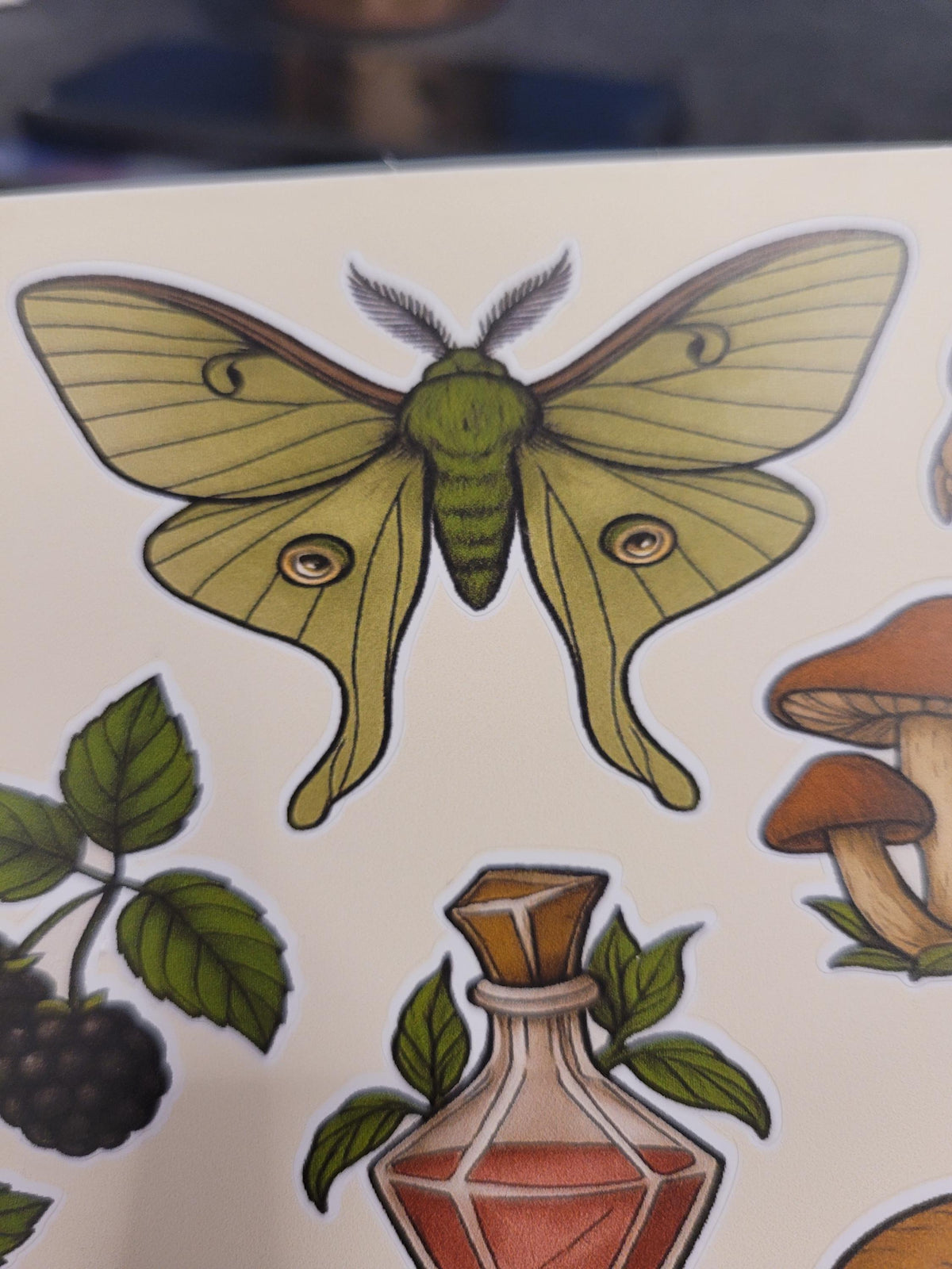 Cottagecore Botanica Sticker Sheet – Moth, Mushrooms, Skull, Berries, Snail, Apothecary Bottle | Vinyl Stickers