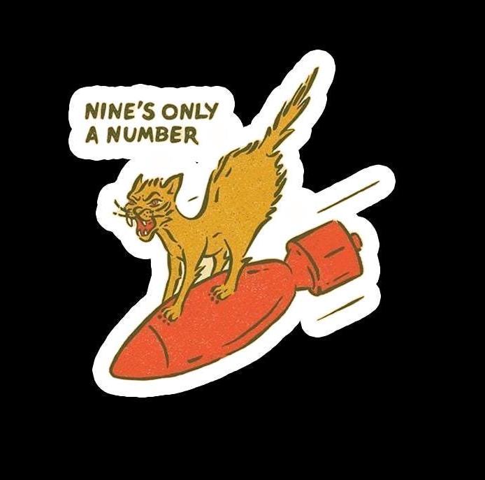 Sarcastic Cat Waterproof Sticker: Adult Humor Vinyl Decal