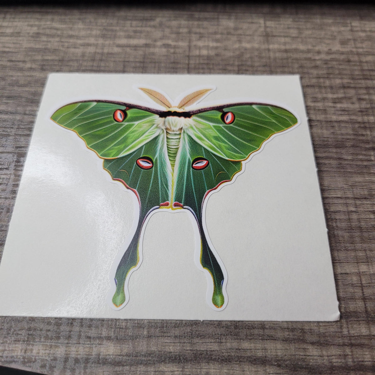 Waterproof Luna Moth Vinyl Sticker: Green Cottagecore Decal