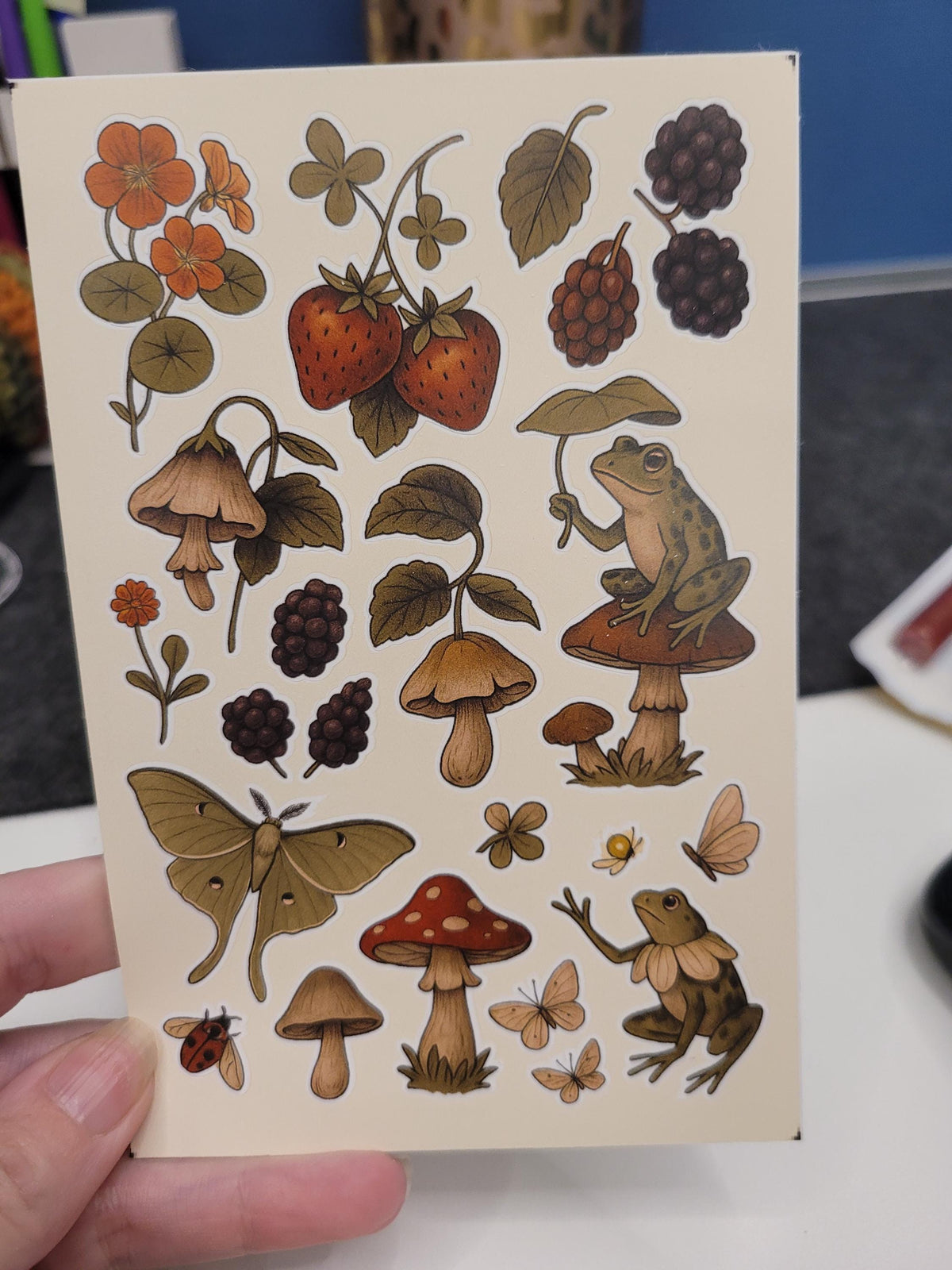 Forest Creatures Sticker Sheet – Frogs, Mushrooms, Moth, Berries | Nature Vinyl Stickers