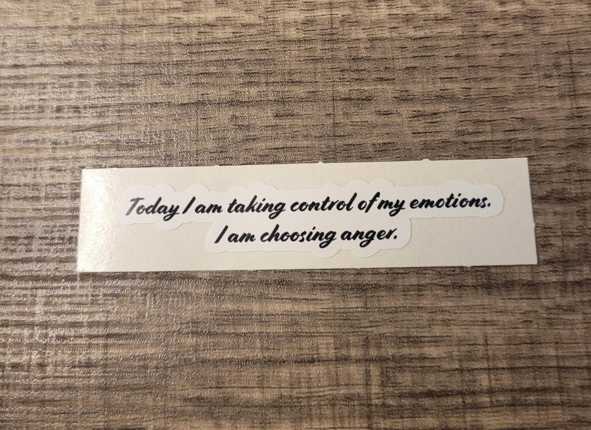 Sarcastic Quote Sticker | Waterproof Vinyl Decal, Funny Stickers