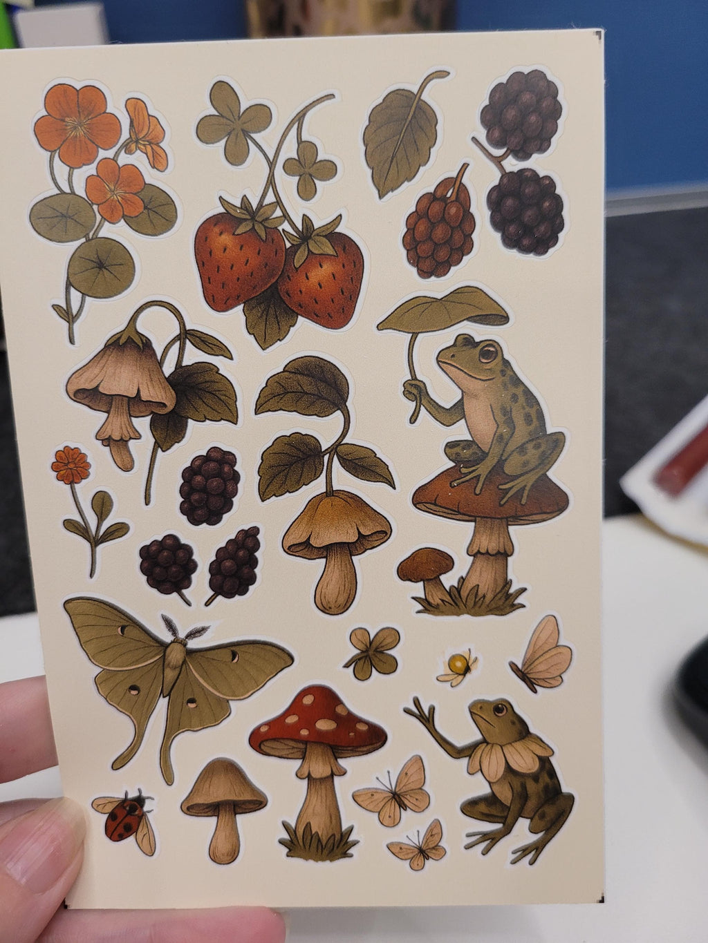 Forest Creatures Sticker Sheet – Frogs, Mushrooms, Moth, Berries | Nature Vinyl Stickers