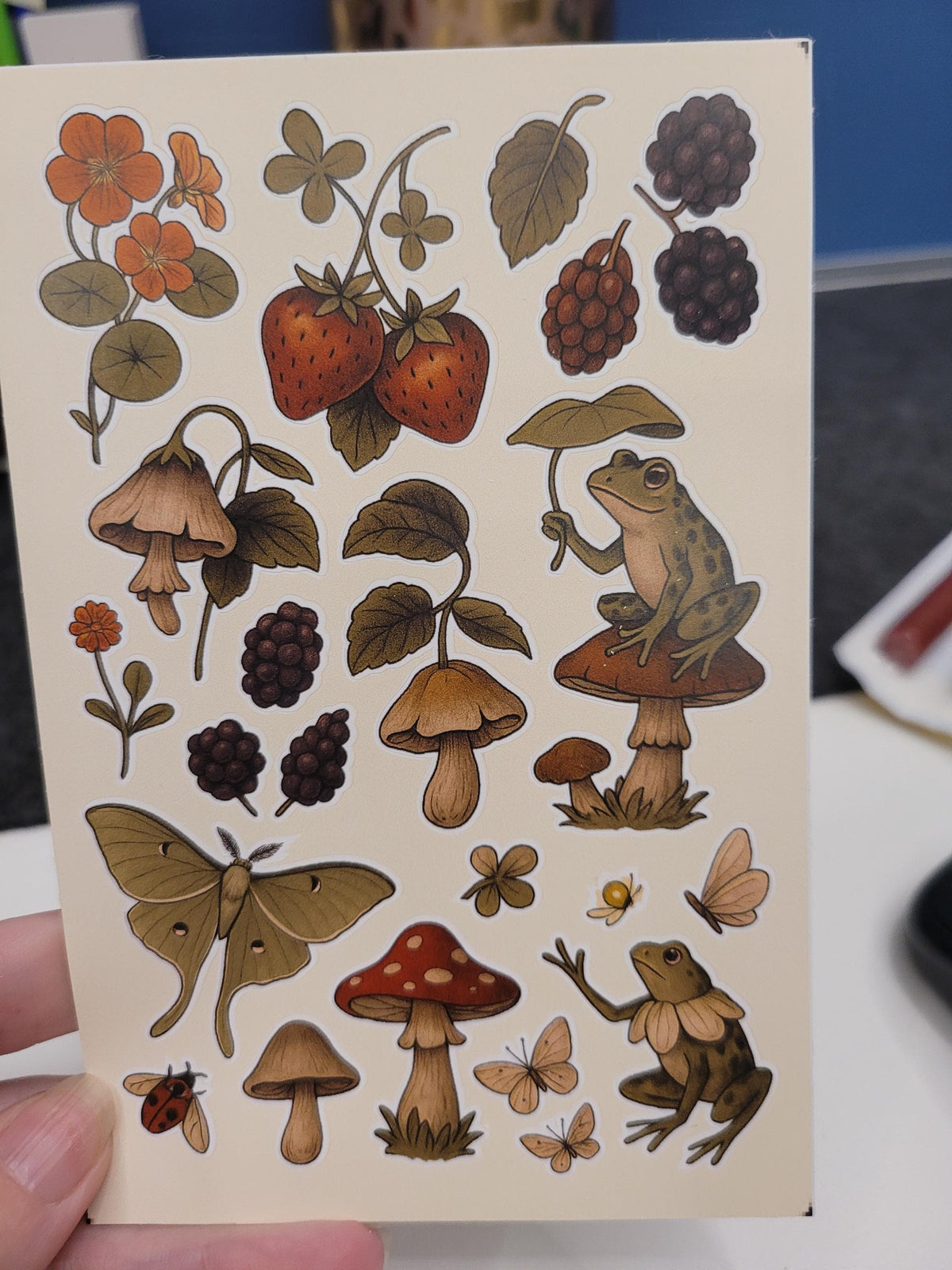 Forest Creatures Sticker Sheet – Frogs, Mushrooms, Moth, Berries | Nature Vinyl Stickers