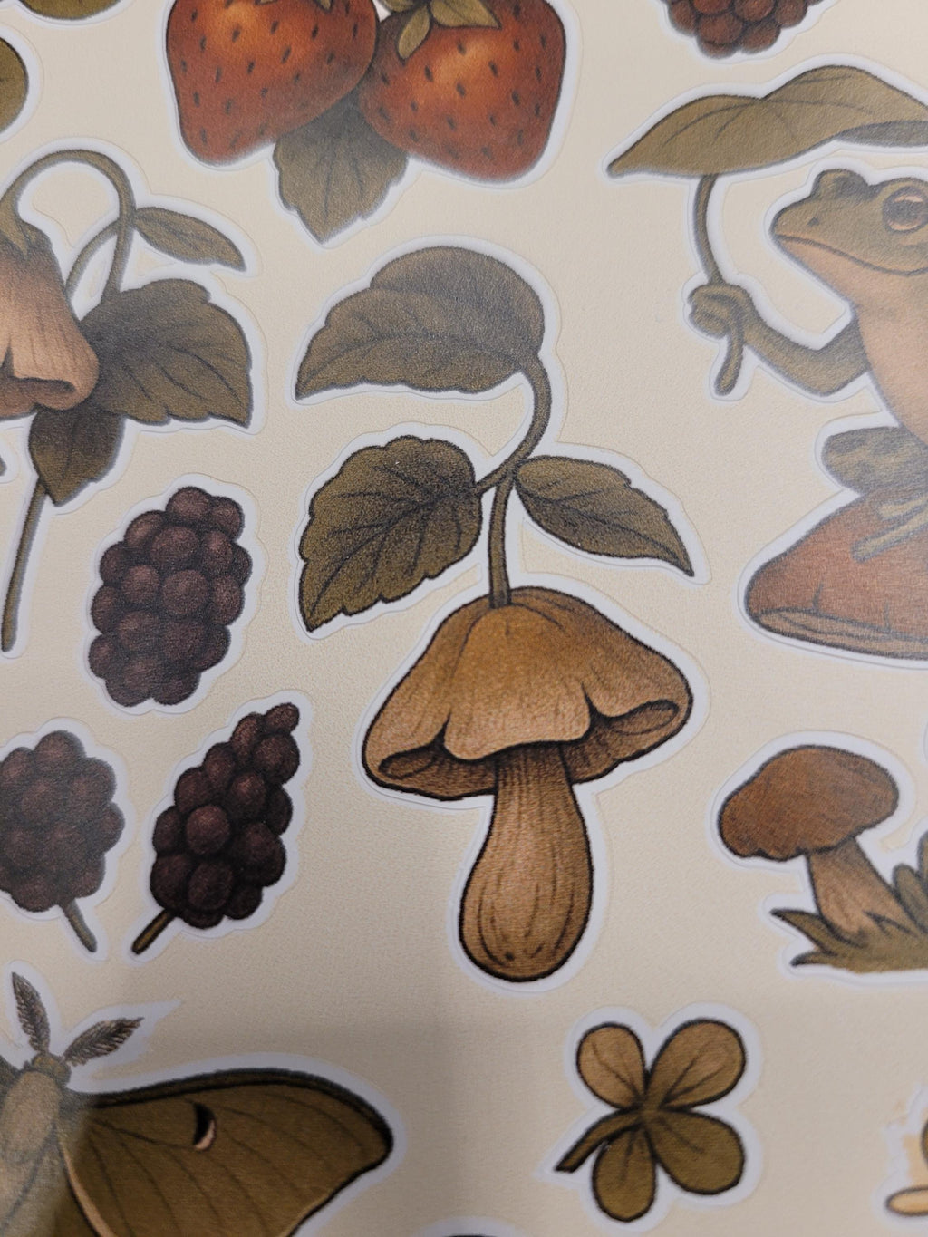 Forest Creatures Sticker Sheet – Frogs, Mushrooms, Moth, Berries | Nature Vinyl Stickers