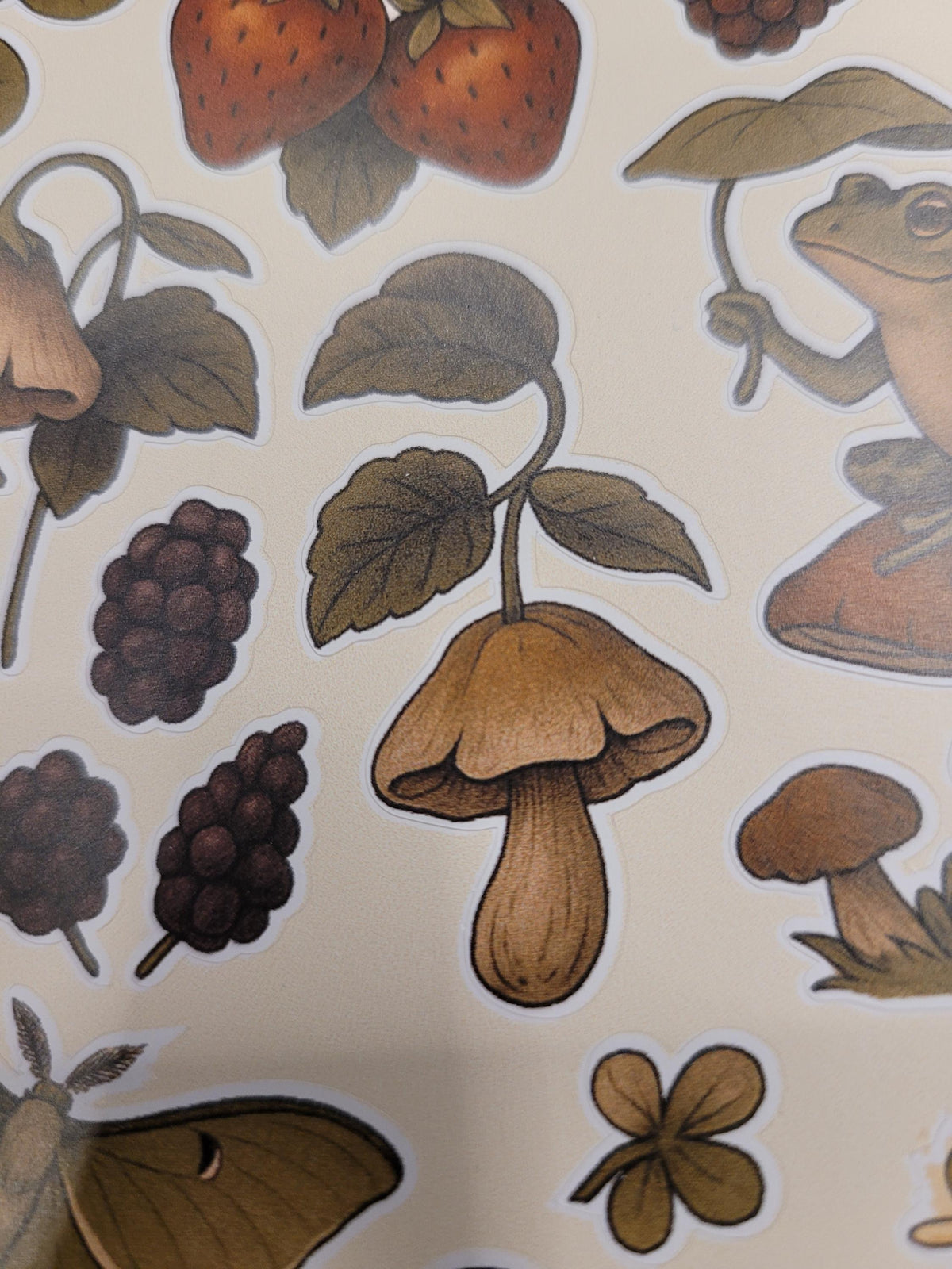 Forest Creatures Sticker Sheet – Frogs, Mushrooms, Moth, Berries | Nature Vinyl Stickers