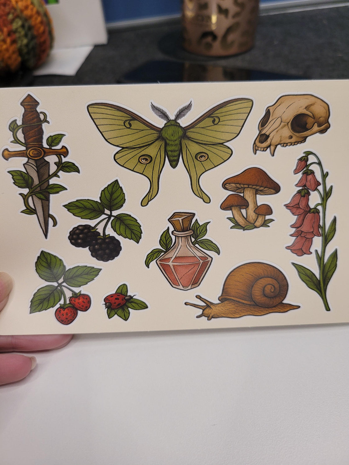 Cottagecore Botanica Sticker Sheet – Moth, Mushrooms, Skull, Berries, Snail, Apothecary Bottle | Vinyl Stickers
