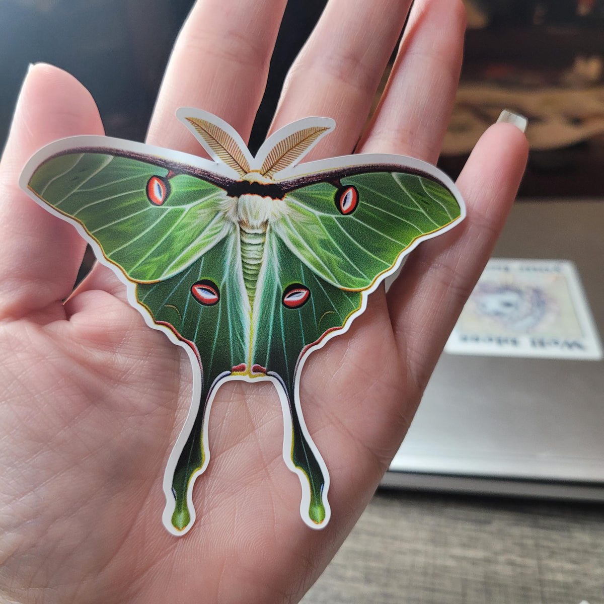 Waterproof Luna Moth Vinyl Sticker: Green Cottagecore Decal