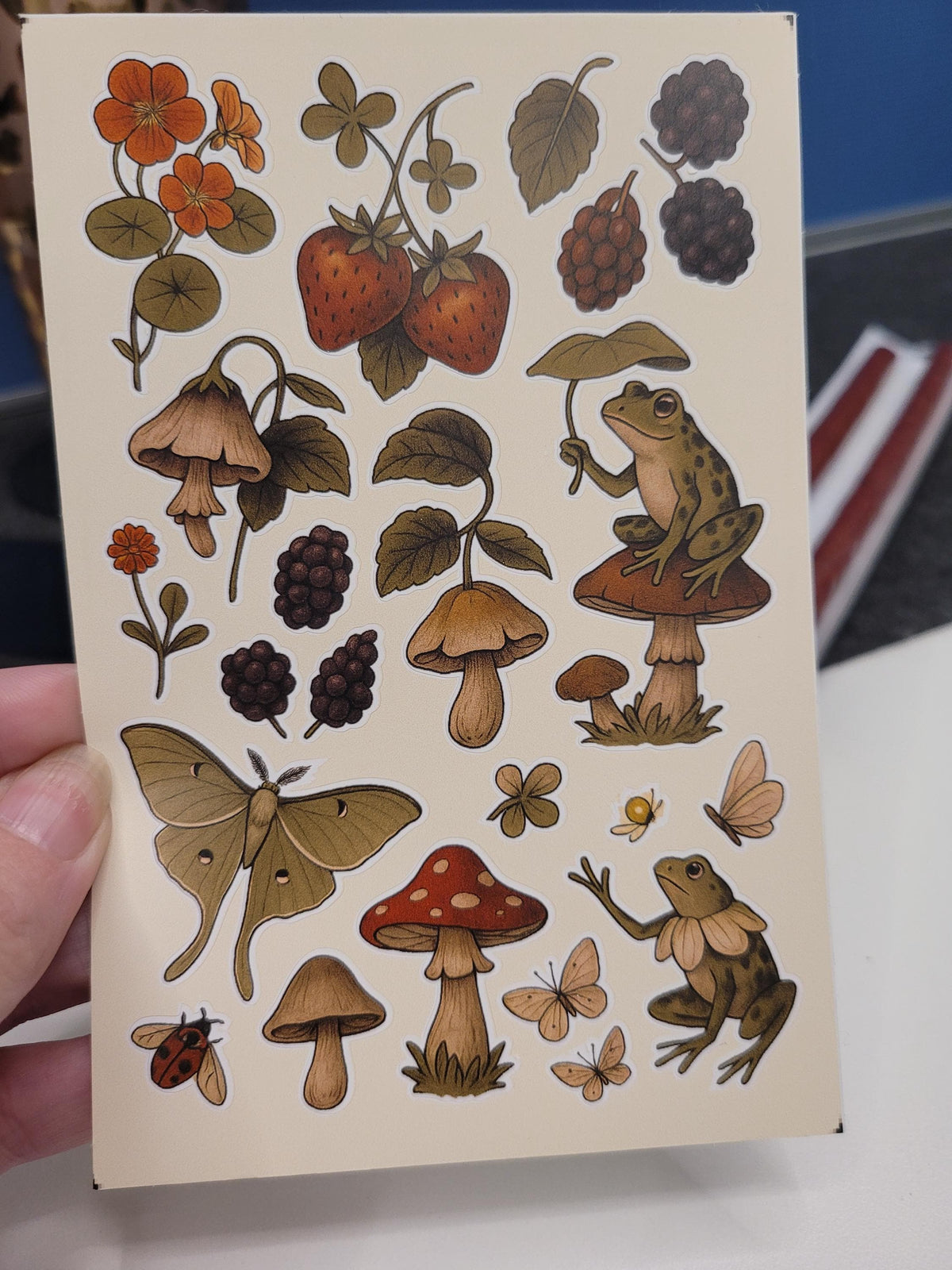 Forest Creatures Sticker Sheet – Frogs, Mushrooms, Moth, Berries | Nature Vinyl Stickers