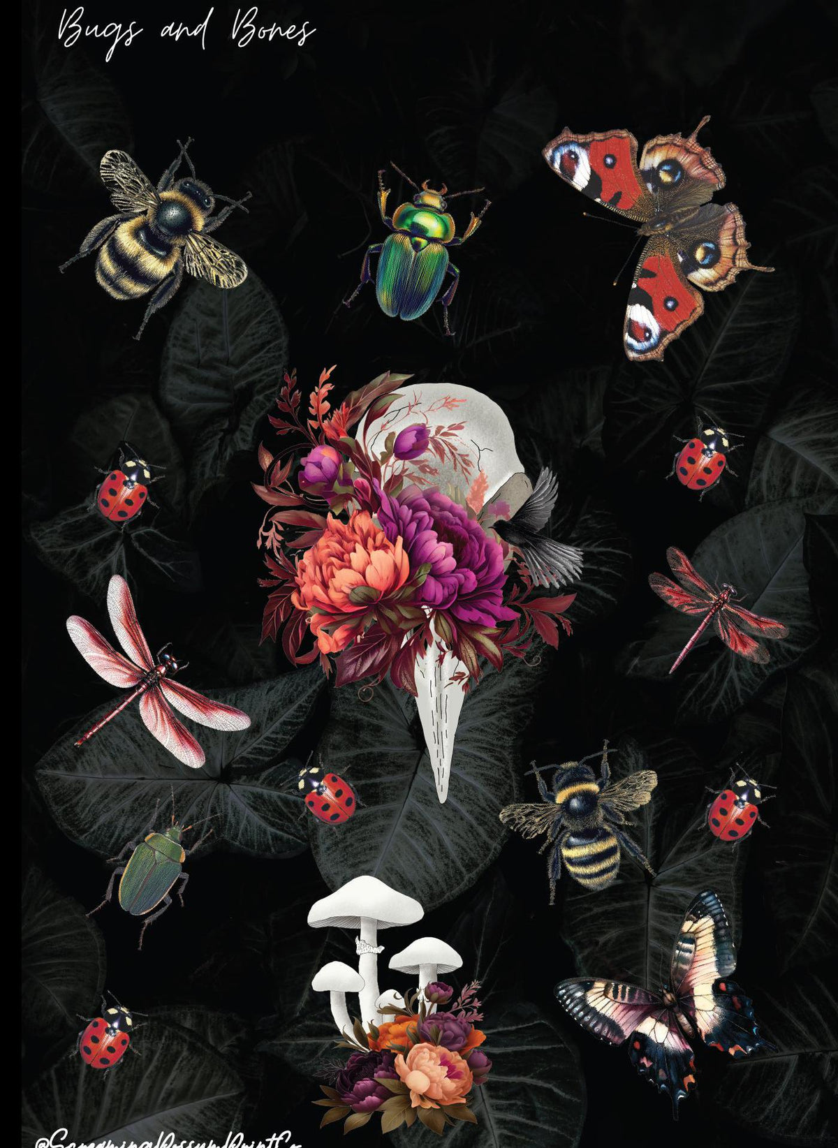 Spooky Bugs and Bones Sticker Sheet: Gothic Journal Stickers