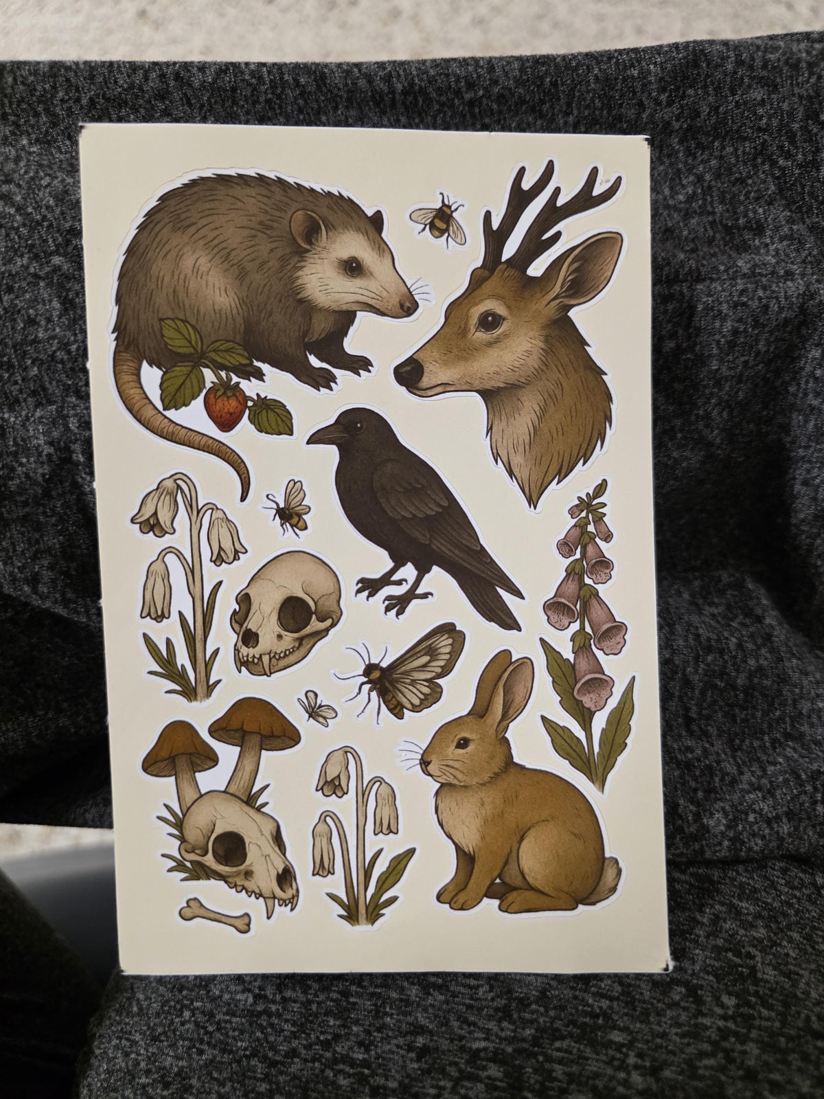 Cottagecore Woodland Sticker Sheet – Forager Botanical Art