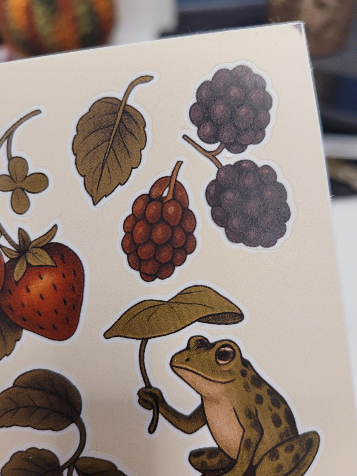 Forest Creatures Sticker Sheet – Frogs, Mushrooms, Moth, Berries | Nature Vinyl Stickers