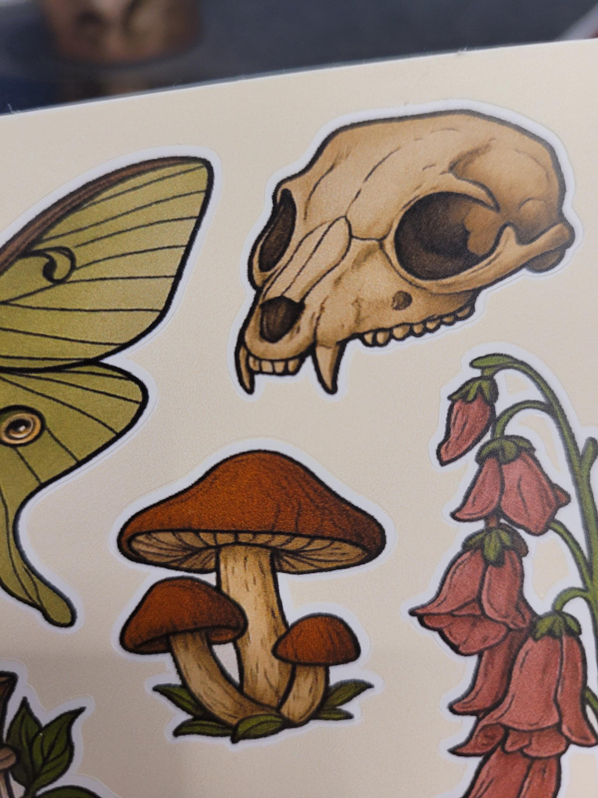 Cottagecore Botanica Sticker Sheet – Moth, Mushrooms, Skull, Berries, Snail, Apothecary Bottle | Vinyl Stickers