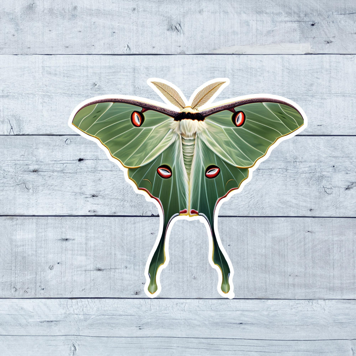 Waterproof Luna Moth Vinyl Sticker: Green Cottagecore Decal