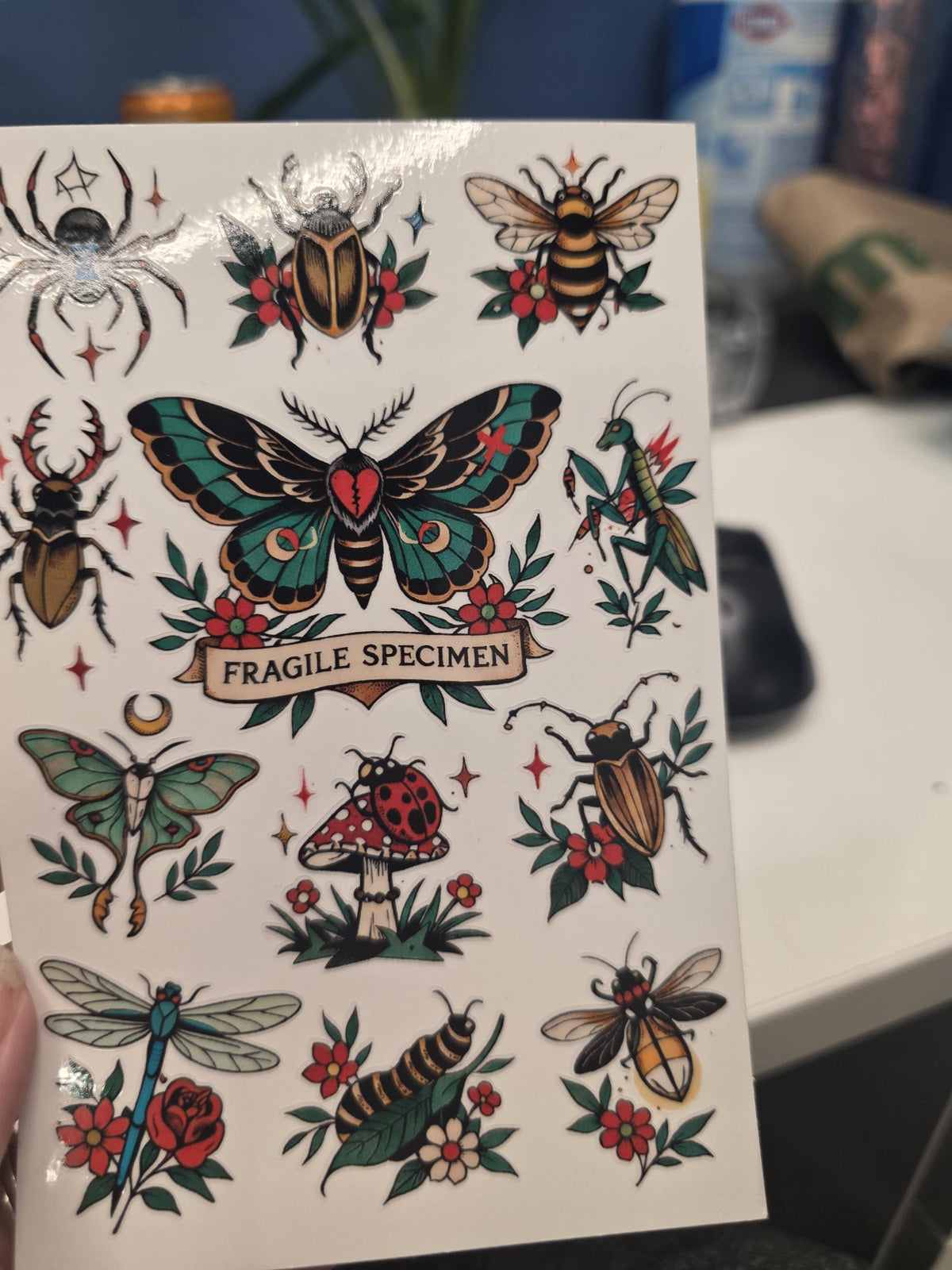 Vintage Tattoo Flash Insect Stickers | Clear Vinyl Moth, Beetle, Bee Sheet