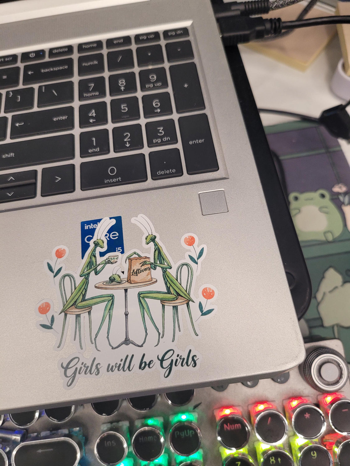 Girls will be Girls-Praying Mantis Sticker