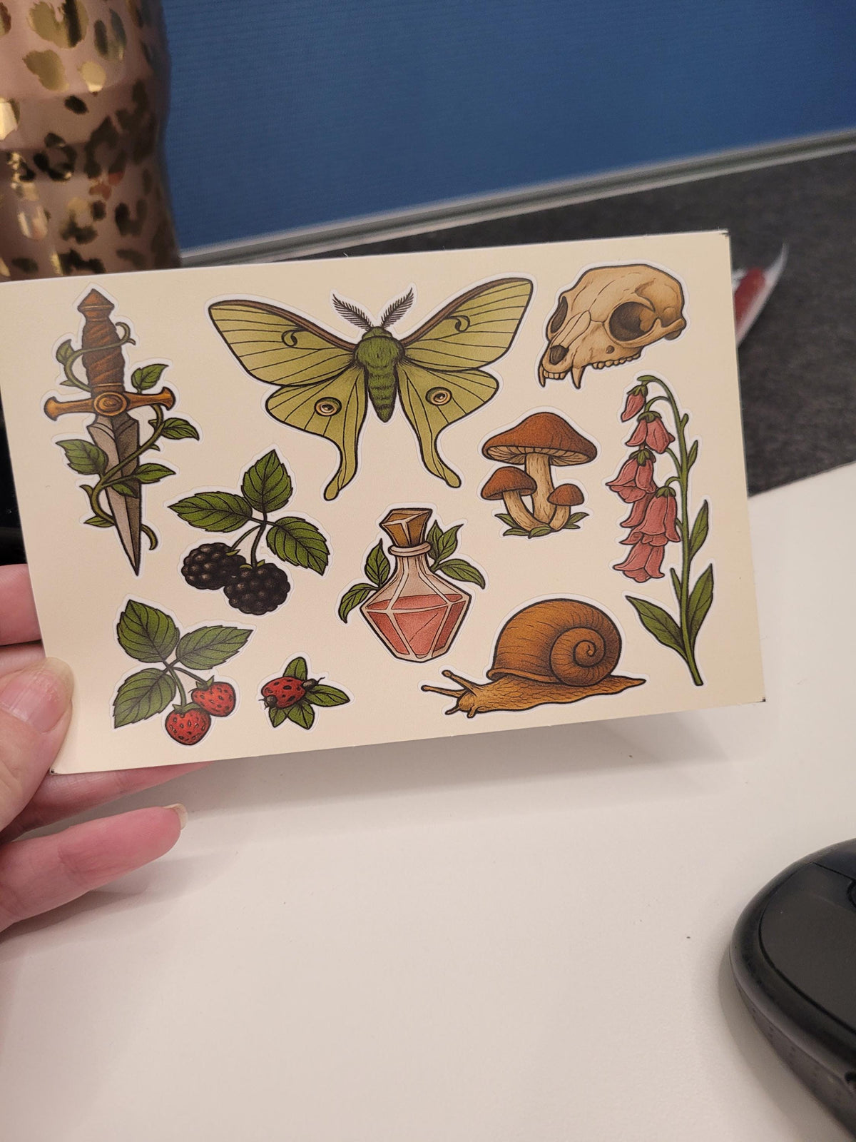 Cottagecore Botanica Sticker Sheet – Moth, Mushrooms, Skull, Berries, Snail, Apothecary Bottle | Vinyl Stickers