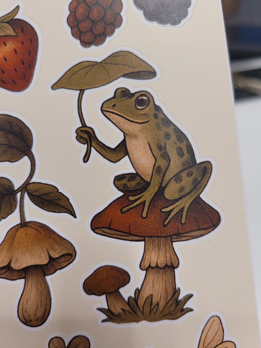Forest Creatures Sticker Sheet – Frogs, Mushrooms, Moth, Berries | Nature Vinyl Stickers