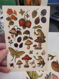 Forest Creatures Sticker Sheet – Frogs, Mushrooms, Moth, Berries | Nature Vinyl Stickers