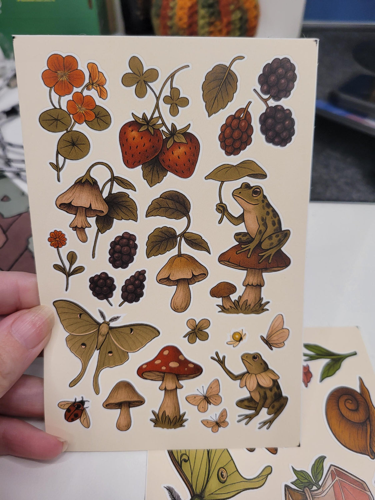 Forest Creatures Sticker Sheet – Frogs, Mushrooms, Moth, Berries | Nature Vinyl Stickers