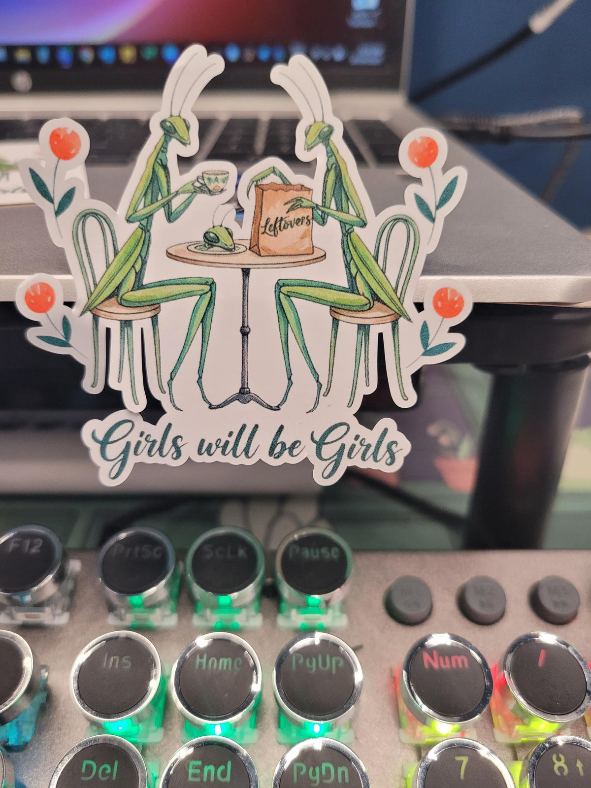 Girls will be Girls-Praying Mantis Sticker
