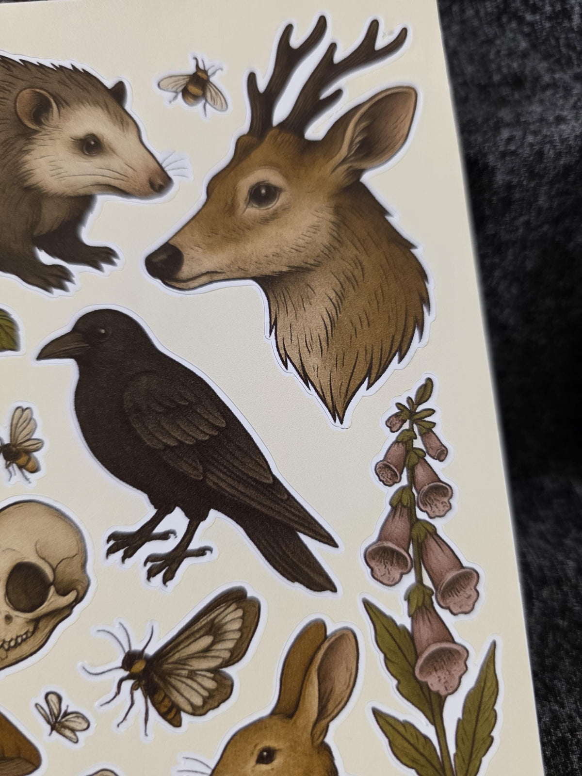 Cottagecore Woodland Sticker Sheet – Forager Botanical Art
