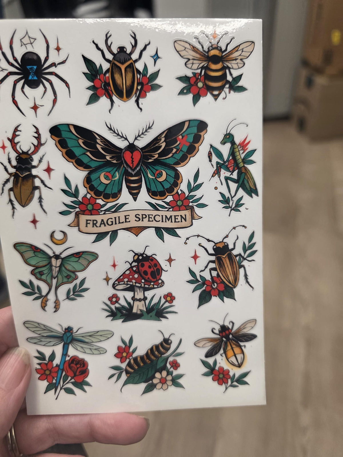 Vintage Tattoo Flash Insect Stickers | Clear Vinyl Moth, Beetle, Bee Sheet